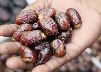 The Ultimate Guide to Buying the Best Dates